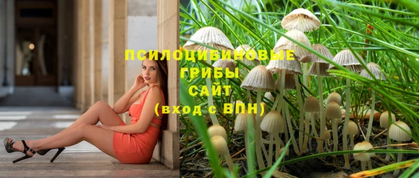 не бодяженный Алексин