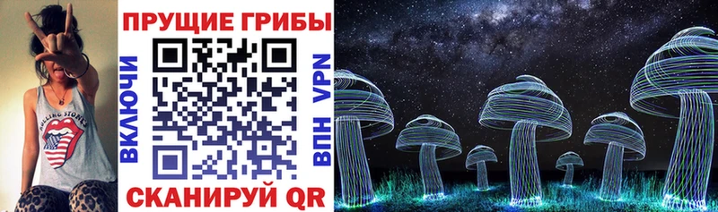 Галлюциногенные грибы Psilocybine cubensis  Купить где  Гаджиево 
